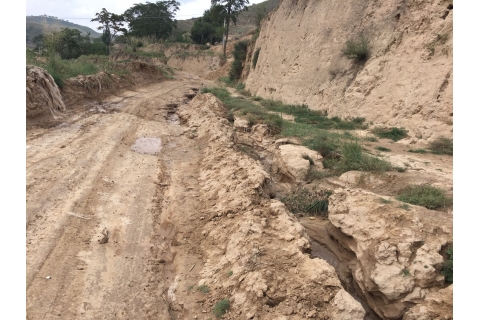 1环县车道乡杨掌村道路修建项目未实施以前道路现状